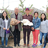 北京书平绿圃食用菌专业合作社